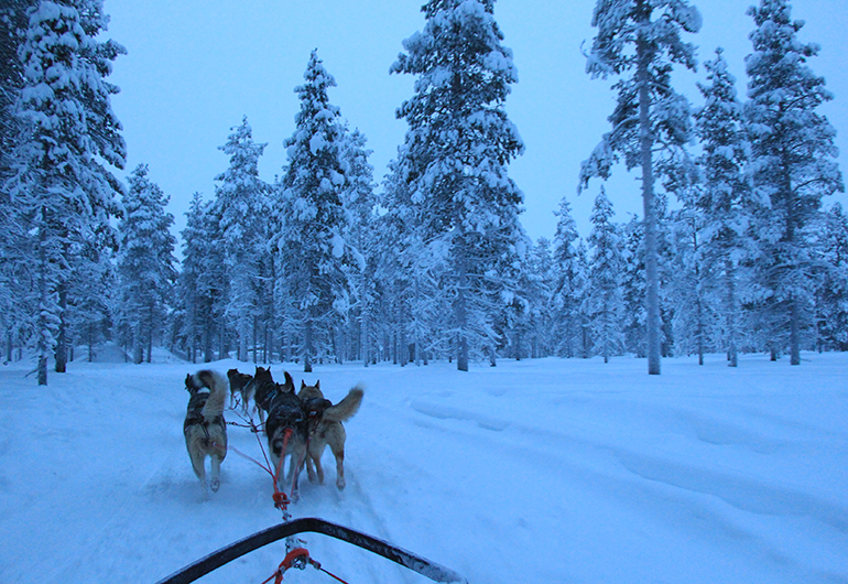 High School in Finland