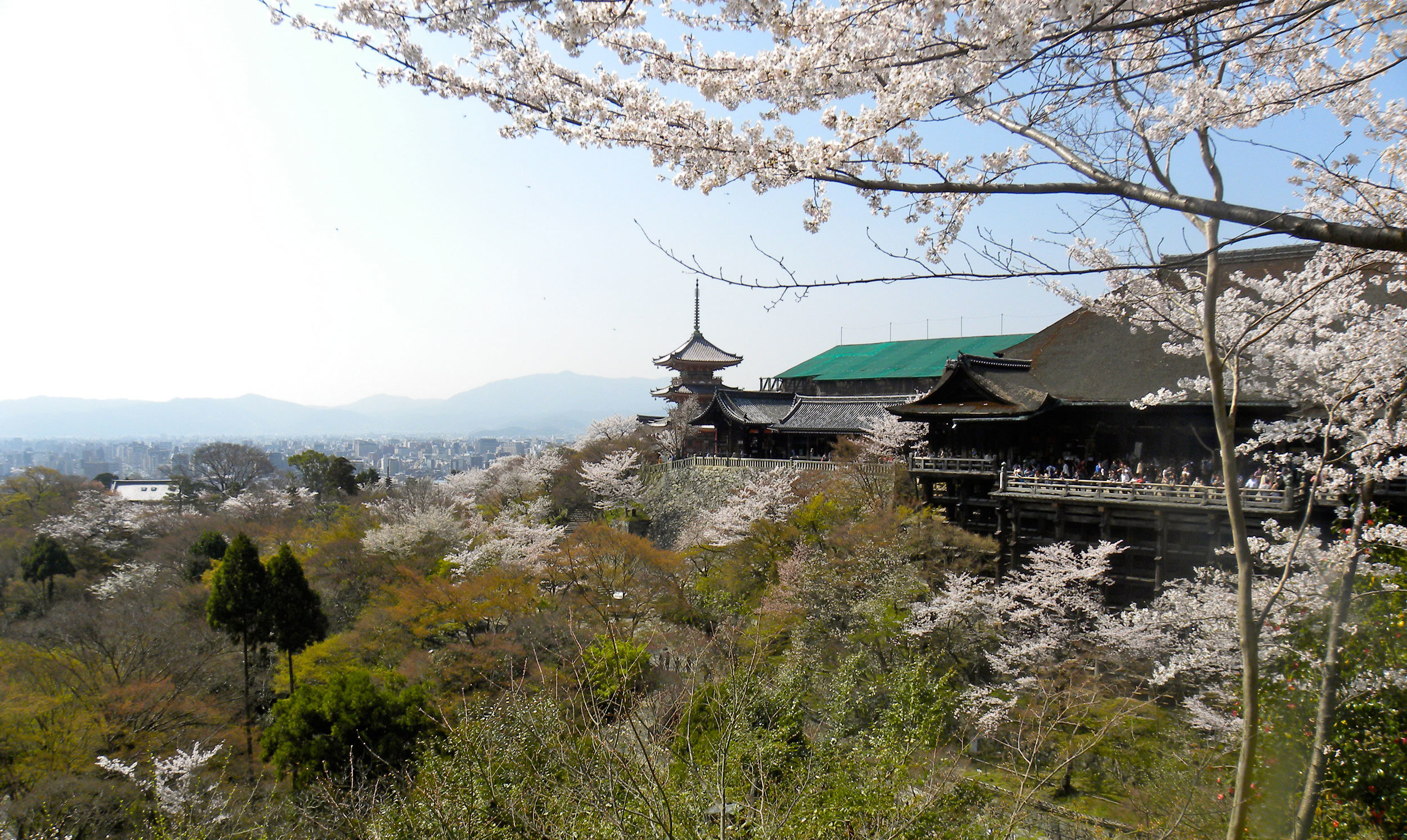 Language Camp in Japan