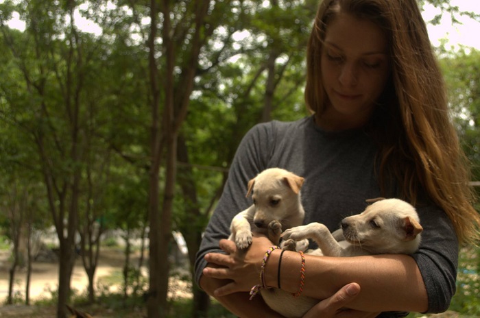 aryn from WI holds puppies