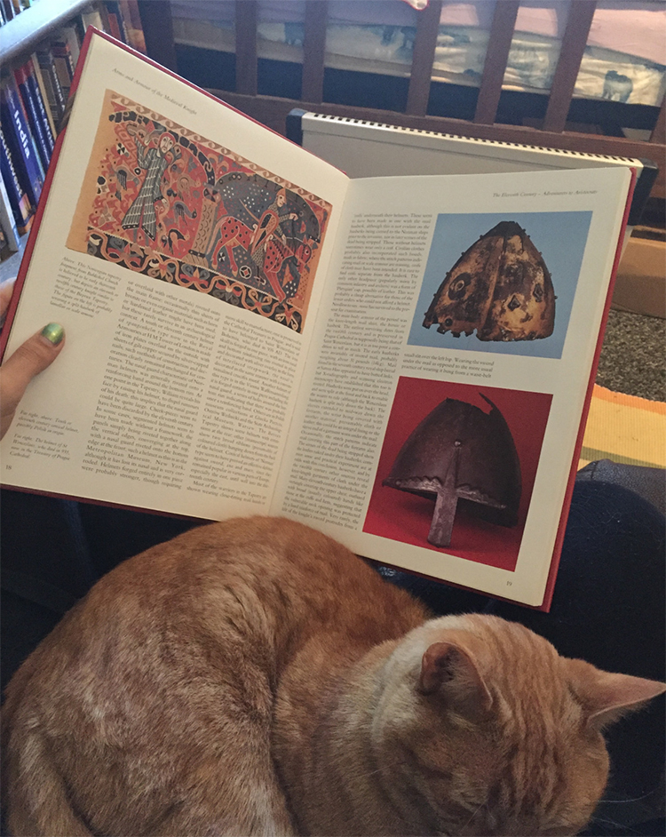 English book and cat