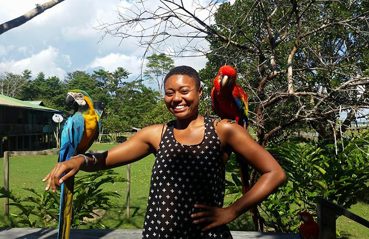 parrots on my shoulder