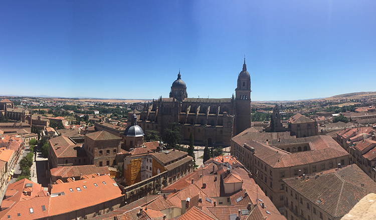 view of salamanca