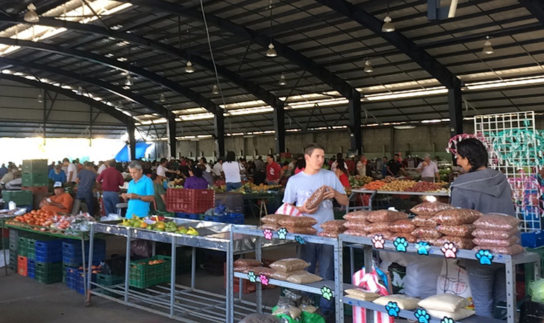 La-feria-costa-rica-market