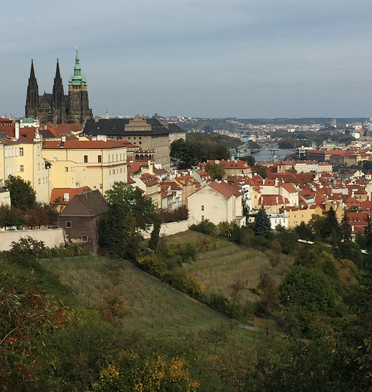 view-of-prague